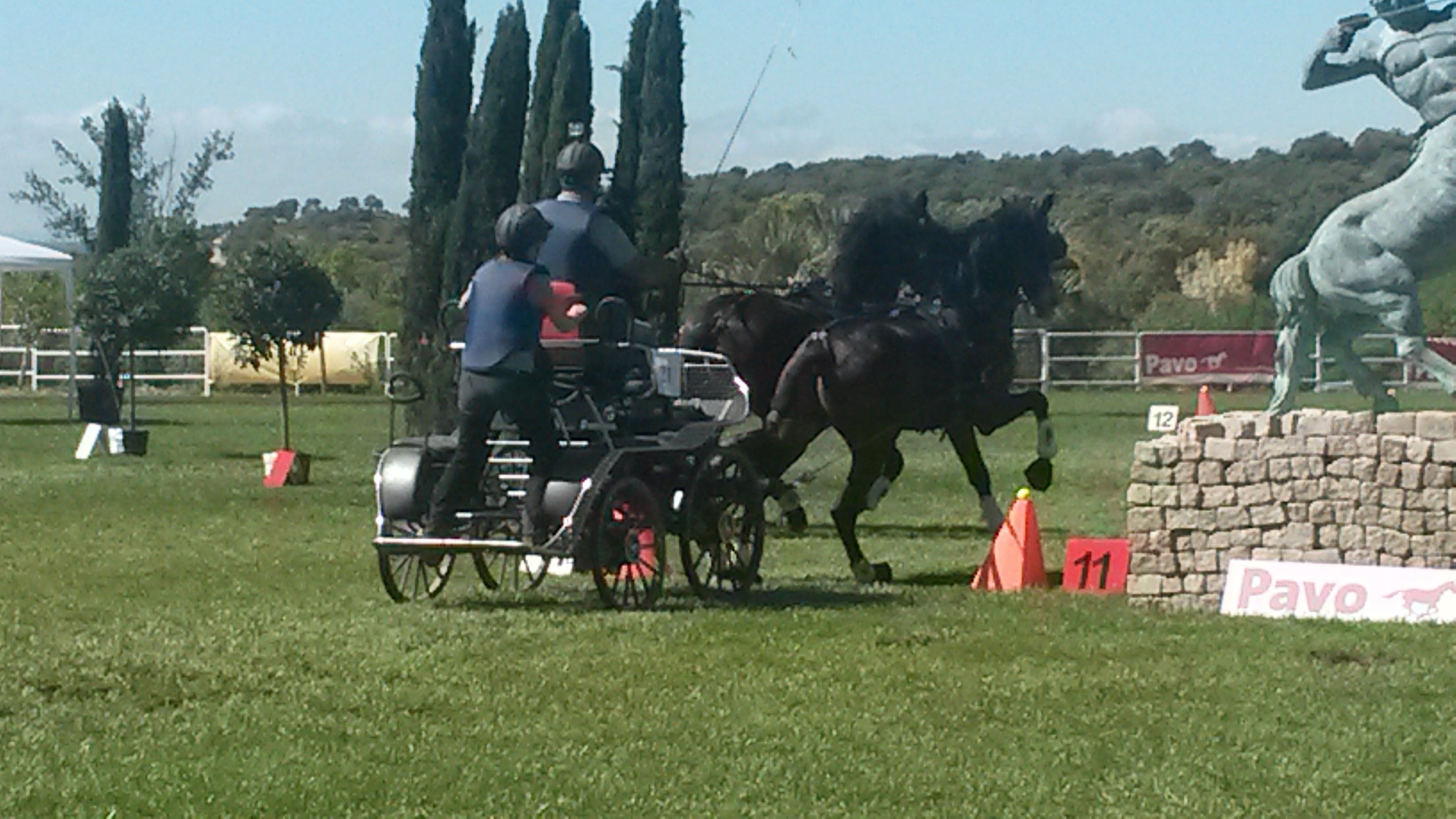 El equipo navarro de enganches destacó en el concurso Indoor finca el Quemado en Arenas de San Pedro (Ávila)